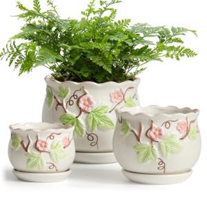 STHIE Ceramic Plant Pots with Drainage Holes and Saucers, Round Flower Pots for Indoor Plant, 3.9/5.2/6.7 Inches Small Flower Planters Set of 3