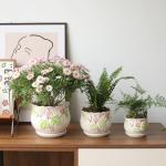 STHIE Ceramic Plant Pots with Drainage Holes and Saucers, Round Flower Pots for Indoor Plant, 3.9/5.2/6.7 Inches Small Flower Planters Set of 3