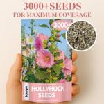 Hollyhock Seeds 3000+ Bulk Pack - Mixed-Color Perennial Blooms, Attracts Pollinators, Easy to Grow, Tall Garden Beauty - Perfect for Outdoor Landscaping, Backyard Shade, and Cottage Flower Gardens