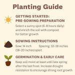 Hollyhock Seeds 3000+ Bulk Pack - Mixed-Color Perennial Blooms, Attracts Pollinators, Easy to Grow, Tall Garden Beauty - Perfect for Outdoor Landscaping, Backyard Shade, and Cottage Flower Gardens