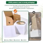 STHIE Ceramic Plant Pots with Drainage Holes and Saucers, Round Flower Pots for Indoor Plant, 3.9/5.2/6.7 Inches Small Flower Planters Set of 3