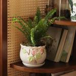 STHIE Ceramic Plant Pots with Drainage Holes and Saucers, Round Flower Pots for Indoor Plant, 3.9/5.2/6.7 Inches Small Flower Planters Set of 3