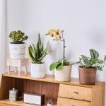 Ekirlin 7 Inch Natural Travertine Textures Plant Pot, Resin Outdoor Planter with Drainage Hole, Removable Rubber Stopper and Non-Slip Soft Pad,Weatherproof Decorative Pot for Indoor/Garden Plants