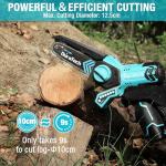 DURATECH 12V Mini Chainsaw, 6 Inch Electric Cordless Chainsaw with 2 Batteries & 2 Chains, One-Hand Operated Portable Wood Saw for Garden Tree Branch Pruning, Wood Cutting