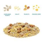 Audubon Park Waste Free Wild Bird Seed – 12 lb. No Mess Blend with Sunflower Hearts & Peanut Pieces – Bird Food for Outside Feeders
