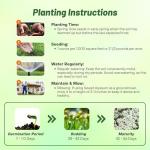 Outsidepride Perennial Sweet Alyssum Seeds - 5,000 Pieces White Lobularia Maritima Seeds for Ground Cover, Pollinator-Friendly Gardens, Drought-Tolerant Landscaping, Easy-to-Grow in USDA Zones 7-9