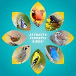 Audubon Park Waste Free Wild Bird Seed – 12 lb. No Mess Blend with Sunflower Hearts & Peanut Pieces – Bird Food for Outside Feeders