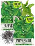 Seed Needs Peppermint Seeds for Planting - Non-GMO, Heirloom & Untreated - Medicinal/Culinary Herb to Plant a Home Grown Indoor or Outdoor Garden (2 Packs)