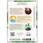 Seed Needs Peppermint Seeds for Planting - Non-GMO, Heirloom & Untreated - Medicinal/Culinary Herb to Plant a Home Grown Indoor or Outdoor Garden (2 Packs)