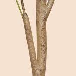 6ft Faux Olive Tree, Artificial Olive Tree Indoor, High Imitation Silk Plant Fake Olive Tree with Realistic Leaves and Fruits, Suitable for Home Living Room Office Decoration