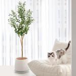 6ft Faux Olive Tree, Artificial Olive Tree Indoor, High Imitation Silk Plant Fake Olive Tree with Realistic Leaves and Fruits, Suitable for Home Living Room Office Decoration