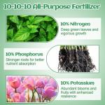 10-10-10 Slow-Release Premium Fertilizer - All-Purpose Plant Food for Indoor Outdoor Gardening Vegetables Flowers Lawn Trees Shrubs, 0.5 Quart