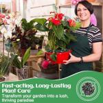 10-10-10 Slow-Release Premium Fertilizer - All-Purpose Plant Food for Indoor Outdoor Gardening Vegetables Flowers Lawn Trees Shrubs, 0.5 Quart