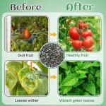 10-10-10 Slow-Release Premium Fertilizer - All-Purpose Plant Food for Indoor Outdoor Gardening Vegetables Flowers Lawn Trees Shrubs, 0.5 Quart