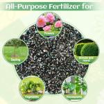 10-10-10 Slow-Release Premium Fertilizer - All-Purpose Plant Food for Indoor Outdoor Gardening Vegetables Flowers Lawn Trees Shrubs, 0.5 Quart