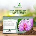 Outsidepride Mimosa Pudica Seeds - 1000 Pcs Annual, Easy to Grow, Sensitive Plant Seeds for Planting, Great for Educational Projects & Garden Displays