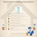 Outsidepride Mimosa Pudica Seeds - 1000 Pcs Annual, Easy to Grow, Sensitive Plant Seeds for Planting, Great for Educational Projects & Garden Displays