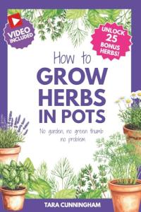 How to Grow Herbs in Pots: No Garden, no green thumb, no problem