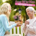 YEPOTUE Solar Squirrels Outdoor Statues, Garden Sculptures with Flowerpot Decor & Solar Lantern for Yard Art Lawn Ornaments Porch Patio Balcony - Birthday Gifts for Women Mom