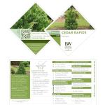 2g Proven Winners Cedar Rapids Cypress Shrub