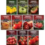 Tomato Seeds 10 Variety Pack for Planting - Cherokee Purple, Roma, Cherry, Aunt Ruby's Green, Hillbilly, Mortgage Lifter, Brandywine & More - Non-GMO Heirloom Types- Survival Garden Seeds