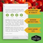 Tomato Seeds 10 Variety Pack for Planting - Cherokee Purple, Roma, Cherry, Aunt Ruby's Green, Hillbilly, Mortgage Lifter, Brandywine & More - Non-GMO Heirloom Types- Survival Garden Seeds