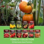 Tomato Seeds 10 Variety Pack for Planting - Cherokee Purple, Roma, Cherry, Aunt Ruby's Green, Hillbilly, Mortgage Lifter, Brandywine & More - Non-GMO Heirloom Types- Survival Garden Seeds