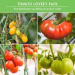 Tomato Seeds 10 Variety Pack for Planting - Cherokee Purple, Roma, Cherry, Aunt Ruby's Green, Hillbilly, Mortgage Lifter, Brandywine & More - Non-GMO Heirloom Types- Survival Garden Seeds