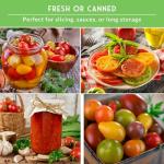 Tomato Seeds 10 Variety Pack for Planting - Cherokee Purple, Roma, Cherry, Aunt Ruby's Green, Hillbilly, Mortgage Lifter, Brandywine & More - Non-GMO Heirloom Types- Survival Garden Seeds