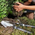 Fiskars Xact Hand Cultivator, Stainless Steel Weeder with SoftGrip Handle, Durable Garden Tool for Loosening and Aerating Soil, Ideal for Flower Beds and Garden Beds