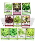Gardeners Basics, Salad Greens Lettuce Seeds Heirloom Vegetable Seed 23,000 Seeds for Planting Indoors and Outdoor 10 Packs - Buttercrunch, Romaine, Iceberg, (and More) Leaf and Head Variety Pack