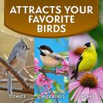 Morning Song Sunflower Hearts & Chips Wild Bird Food, No Mess Sunflower Seeds for Birds, 5.5-Pound Bag