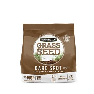 Pennington Bare Spot Repair Grass Seed Mixture - Central 1 lb