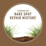 Pennington Bare Spot Repair Grass Seed Mixture - Central 1 lb