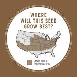 Pennington Bare Spot Repair Grass Seed Mixture - Central 1 lb