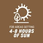 Pennington Bare Spot Repair Grass Seed Mixture - Central 1 lb