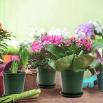 Fasmov 10PCS 1 Gallon Durable Nursery Pot Garden Flower Pots Nursery Plant Container Kit with 10 Pcs Matching Pallets