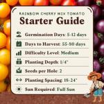 Seedboy Organic Rainbow Cherry Tomato Seeds for Planting Indoor and Outdoor, Non-GMO and USDA Certified Vegetable Seed Packet for Hydroponic Garden Indoor or Planting Outdoors (Cherry Tomato)