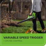 Greenworks 40V Lawn Care Combo Kit, Trimmer & Blower for Edging & Leaf Cleanup, 2.0Ah Battery & Charger (Gas-Free Yard Duo)