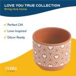 Costa Farms Money Tree Live Plant in Decorative Pot, Air Purifying Indoor Houseplant, Perfect for Home, Room, or Office Decor, Great House Warming or Birthday Gift, 12-16 Inches Tall