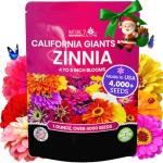 NatureZ Edge Zinnia Seeds for 2025 Planting Outdoors, Over 4000 Flower Seeds, 1 Oz, Non GMO Made in USA, Bulk Semillas De Flores para Sembrar, California Giants, Easy to Grow Zinnia Seed Mix