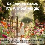 NatureZ Edge Zinnia Seeds for 2025 Planting Outdoors, Over 4000 Flower Seeds, 1 Oz, Non GMO Made in USA, Bulk Semillas De Flores para Sembrar, California Giants, Easy to Grow Zinnia Seed Mix