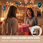 Elegondrar Solar Squirrel Garden Statue Outdoor Decor, Squirrel Sculpture with Lantern for Yard Lawn Patio Balcony, Christmas Birthday Housewarming Gifts for Mom, Grandma, Women, Brown,Resin