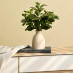 Amore Florals 16" Artificial Eucalyptus Stems Potted Plant Indoor Fake Plants - Realistic Greenery with Vase, Small Artificial Office Desk Plants in Pots for Home Decor Weddings Centerpieces