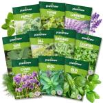 PLANTMEW 10 Herb Seeds Variety Pack - 7,000+ Heirloom Non-GMO Seeds - Basil, Cilantro, Lavender, Parsley, Dill, Thyme, Chives, Oregano, Sage, Herb Garden Kit for Planting Home Garden, Gardening Gift