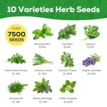 PLANTMEW 10 Herb Seeds Variety Pack - 7,000+ Heirloom Non-GMO Seeds - Basil, Cilantro, Lavender, Parsley, Dill, Thyme, Chives, Oregano, Sage, Herb Garden Kit for Planting Home Garden, Gardening Gift
