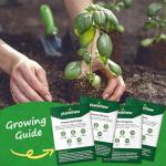 PLANTMEW 10 Herb Seeds Variety Pack - 7,000+ Heirloom Non-GMO Seeds - Basil, Cilantro, Lavender, Parsley, Dill, Thyme, Chives, Oregano, Sage, Herb Garden Kit for Planting Home Garden, Gardening Gift