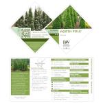 2 Gallon Proven Winners Arborvitae North Pole Shrub