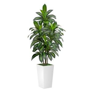 VIVATREES Dracaena Tree 5FT Artificial, 60in Tall Faux Dracaena Tree with 15.7 White Planter, Fake Potted Tree for Indoor & Outdoor Home Office Decor