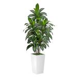 VIVATREES Dracaena Tree 5FT Artificial, 60in Tall Faux Dracaena Tree with 15.7 White Planter, Fake Potted Tree for Indoor & Outdoor Home Office Decor